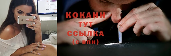 прущие крисы Верея