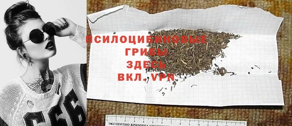 прущие крисы Верея