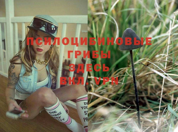 прущие крисы Верея
