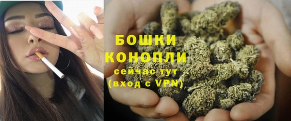 прущие крисы Верея